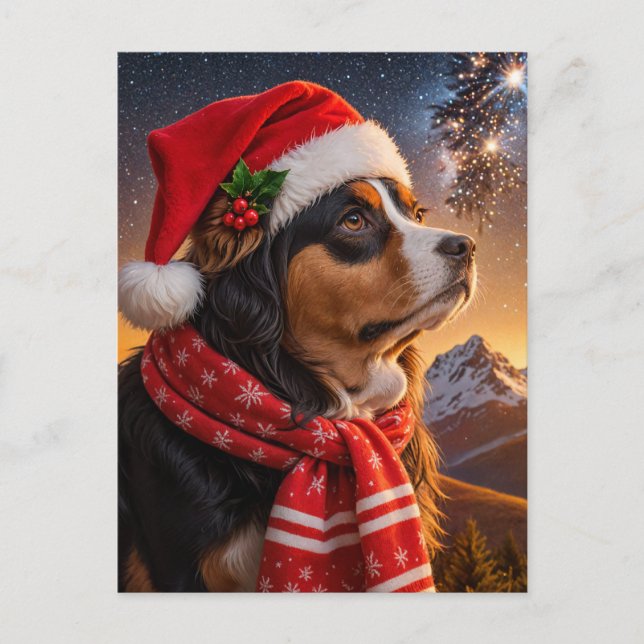 Cartão Postal Cachorro da Montanha Santa Hat Bernese (Frente)