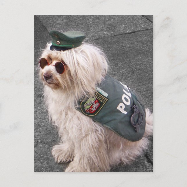 Cartão Postal Cachorro da Polícia Alemã com algemas (Frente)