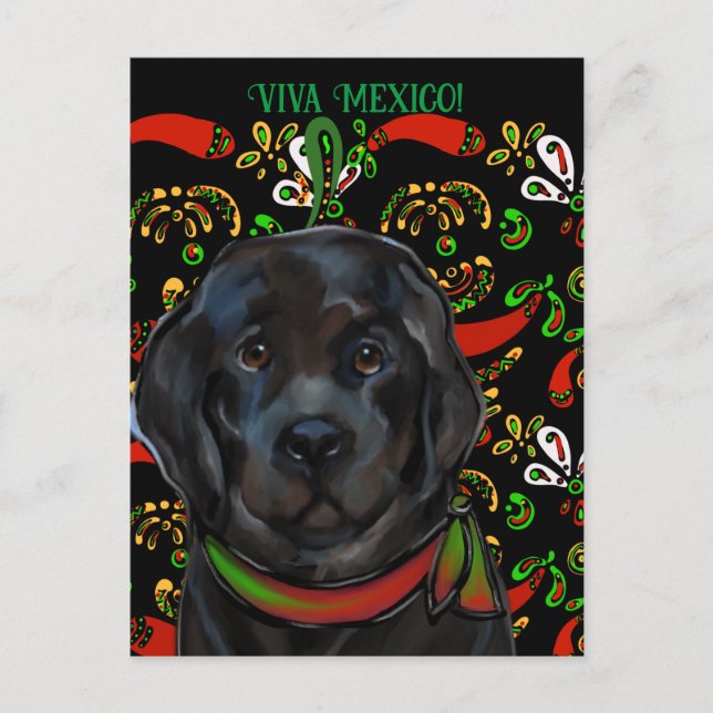 Cartão Postal Cachorro da Terra Nova (Frente)