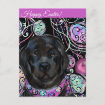 Cachorro da Terra Nova