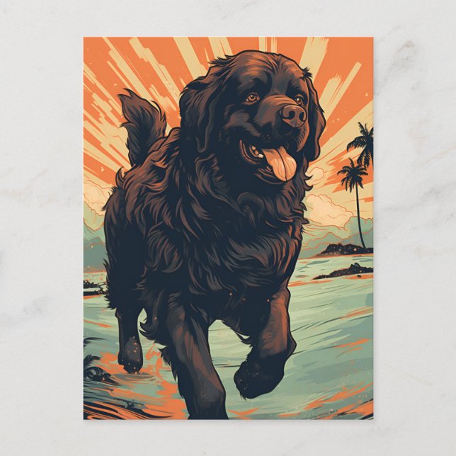 Cartão Postal Cachorro da Terra Nova na praia (Frente)