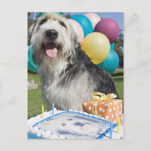 Cartão Postal Cachorro de aniversário