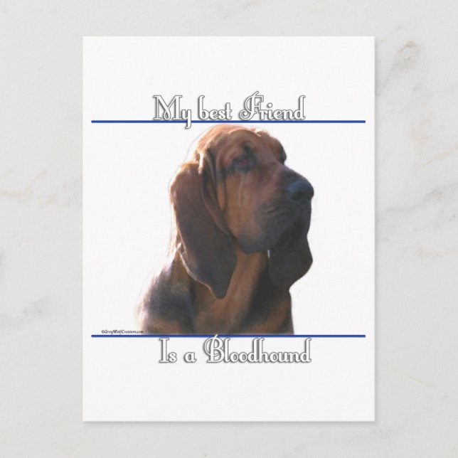 Cartão Postal Cachorro de Caça Melhor Amigo; Presentes de Cachor (Frente)