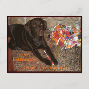 Cartão Postal Cachorro de Halloween com dente doce