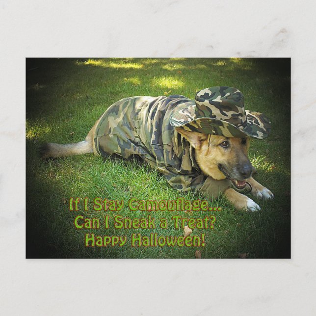 Cartão Postal Cachorro de Halloween em Camouflage (Frente)