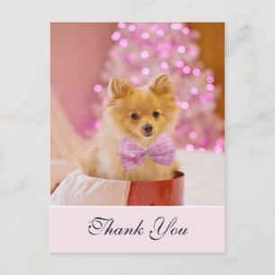 Cartão Postal Cachorro de Natal Fofo com Foto de Laço Rosa Obrig