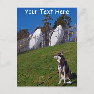 Cartão Postal Cachorro de rastreador personalizável