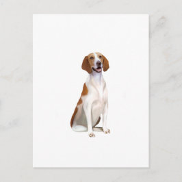 Cartão Postal Cachorro-de-sangue-americano (A)