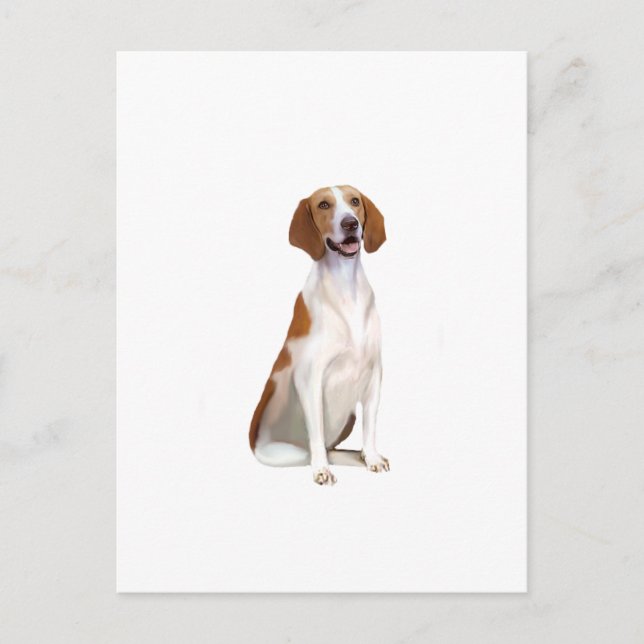 Cartão Postal Cachorro-de-sangue-americano (A) (Frente)