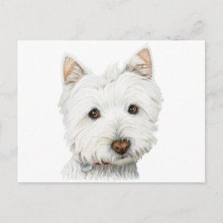 Cartão Postal Cachorro de Terrier Branco da Highland Oeste