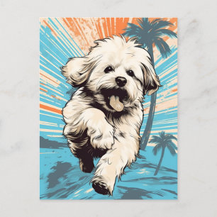 Cartão Postal Cachorro do Havanês numa praia tropical durante o