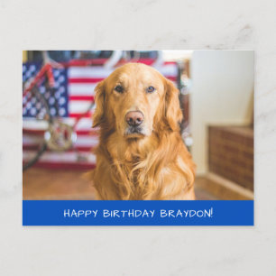 Cartão Postal Cachorro do Retriever do Ouro