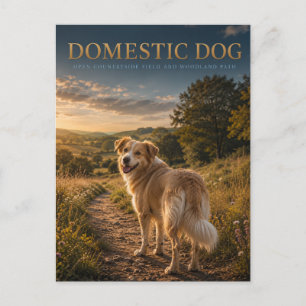 Cartão Postal Cachorro Doméstico Caminho Campestre ANIMAIS