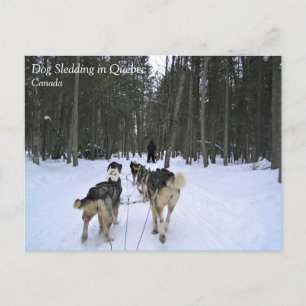 Cartão Postal Cachorro Dormindo em Quebec, Canadá