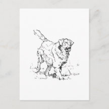 Cachorro Dourado Feliz, Personalizado