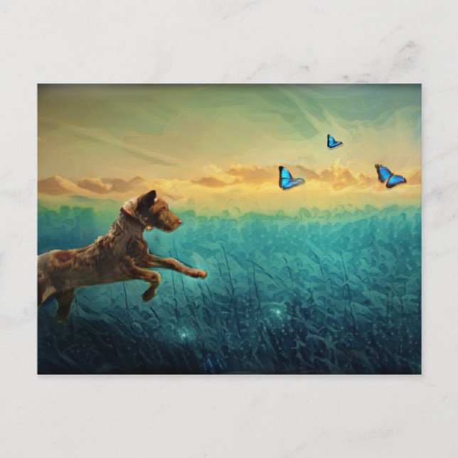 Cartão Postal Cachorro E Borboleta (Frente)