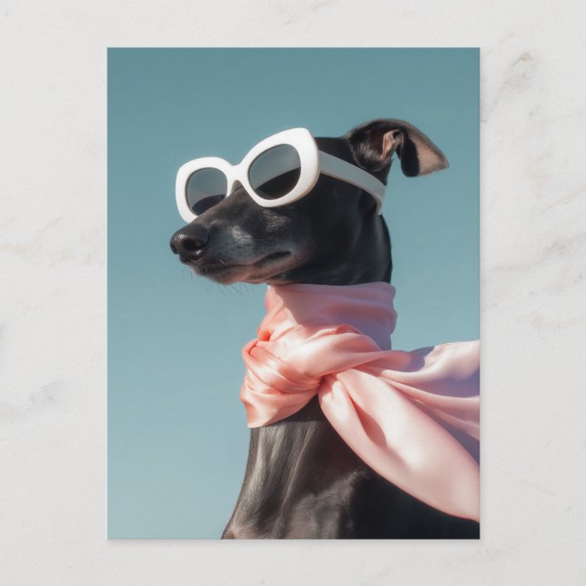 Cartão Postal Cachorro Elegante com Óculos de Sol e Cachecol (Frente)