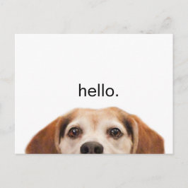 Cartão Postal Cachorro Engraçado, Beagle Alô Moderno