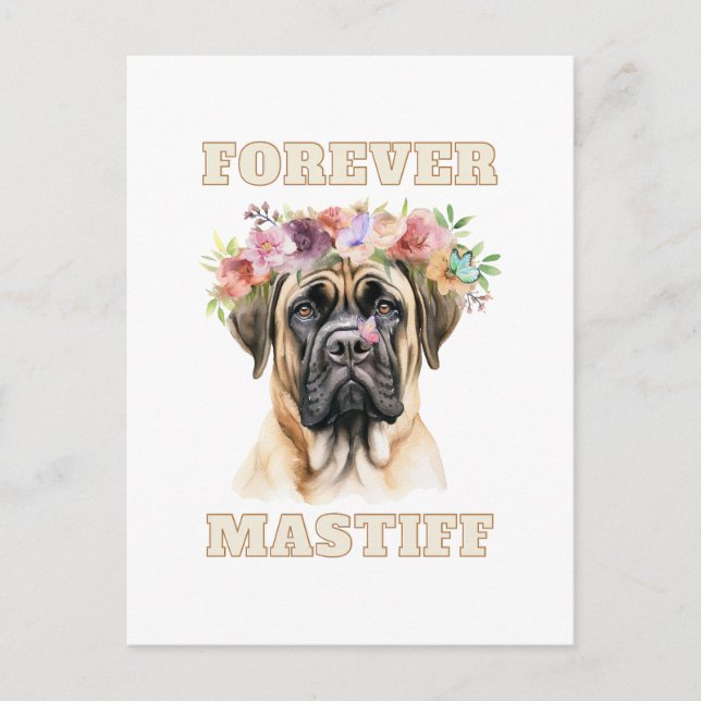 Cartão Postal Cachorro Engraçado e Engraçado de Mastiff Inglês c (Frente)