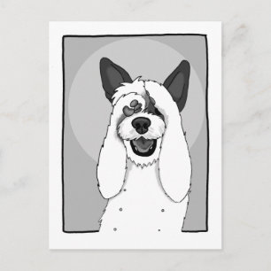 Cartão Postal Cachorro Engraçado IV