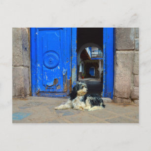 Cartão Postal Cachorro Esperando em Frente à Porta Azul, Cusco,