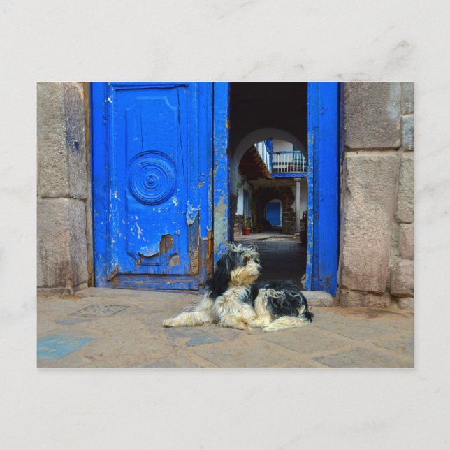 Cartão Postal Cachorro Esperando em Frente à Porta Azul, Cusco,  (Frente)