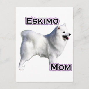 Cartão Postal Cachorro esquimó americano Mãe 4