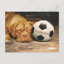 Cartão Postal Cachorro fanático do futebol de Barcelona