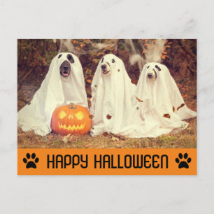 Cartão Postal Cachorro Fantasma de Halloween Engraçado Fofo