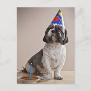 Cartão Postal Cachorro fazendo aniversário