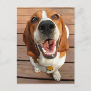 Cartão Postal Cachorro Feliz