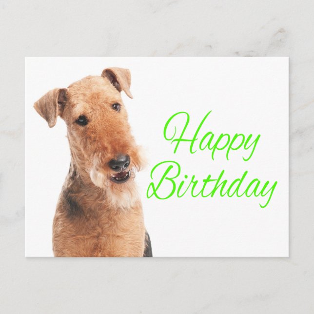 Cartão Postal Cachorro Feliz Airedale Terrier Cachorro Feliz Ani (Frente)