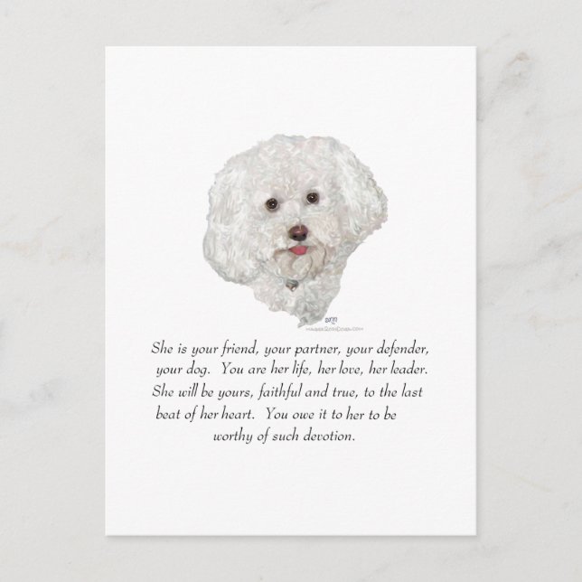 Cartão Postal Cachorro-feminino (Frente)