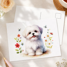 Cachorro Floral Shih Tzu Adorável