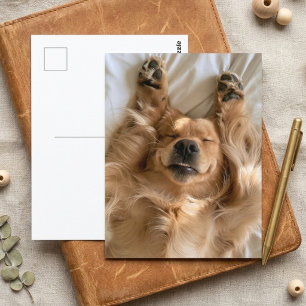 Cartão Postal Cachorro fofo de patas de Golden Retriever dormind