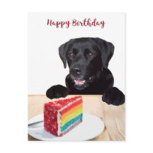 Cachorro Fofo Feliz Aniversário - Labrador Retriev