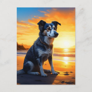 Cartão Postal Cachorro Fofo na Praia ao Pôr do Sol   Dizendo Olá