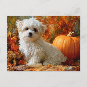 Cartão Postal Cachorro Fofo Outono Abóbora Folhas Caídas Design