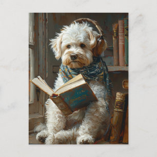 Cartão Postal Cachorro Gelado Lendo Um Livro