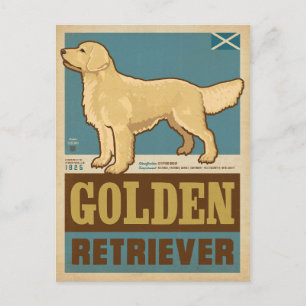 Cartão Postal Cachorro Golden Retriever Clássico Vintage