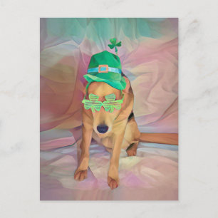 Cartão Postal Cachorro-Hipster irlandês Cute Engraçado