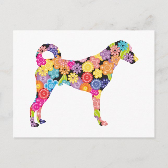 Cartão Postal Cachorro Kangal (Frente)