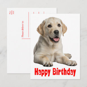 Cartão Postal Cachorro Labrador Retriever Amarelo Filhote de Cac