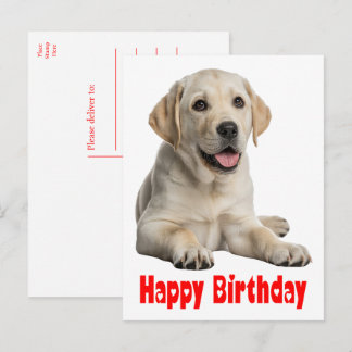 Cartão Postal Cachorro Labrador Retriever Amarelo Filhote de Cac