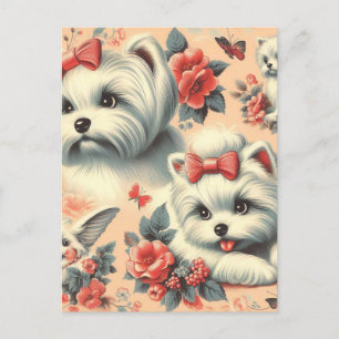 Cartão Postal Cachorro Maltês Cachado Vintage