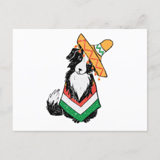 Cartão Postal Cachorro Mexicano Sombrero E Poncho Cinco De Mayo