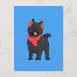 Cartão Postal Cachorro Negra Inverno Terrier Cachorro com Maçã