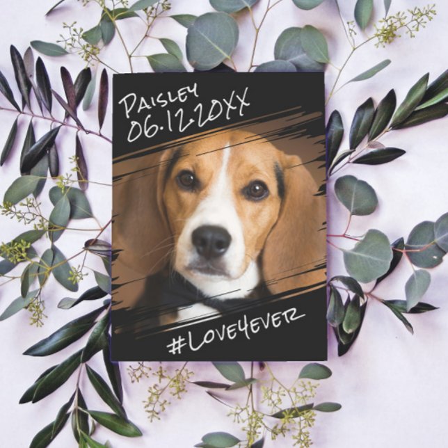 Cartão Postal Cachorro Negro Simples Elegante Chic (Criador carregado)