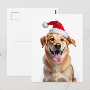 Cartão Postal Cachorro no chapéu de Papai Noel