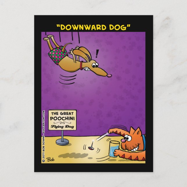 Cartão Postal "Cachorro Olhando para Baixo" (Frente)